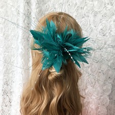 Plumes Teintes D'Oie