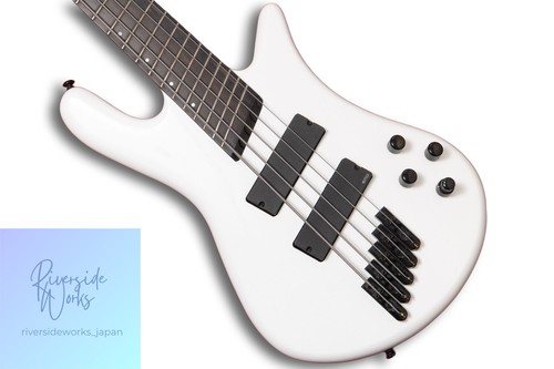 Spector dimension 5 - dimension,