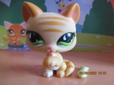 Petshop Chat Chartreux #842 + Accessoire d'origine