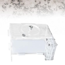Ferme DIY Transparente Facile à Installer Fourmilière Fourmis Vivarium