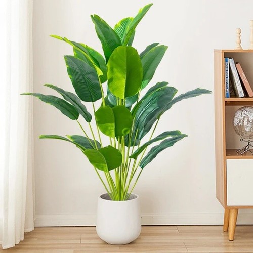 Grand palmier tropical - grand,