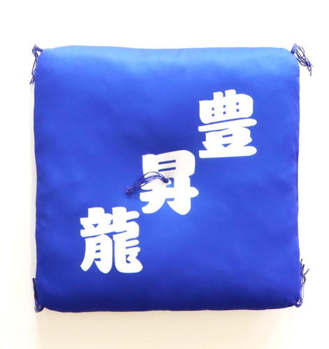 Coussin hoshoryu sumo zabuton - sumo,