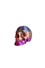 Exposeur Tête De Mort Pour