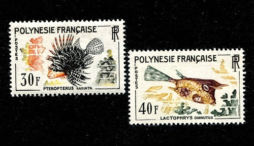 Polynésie française - polynésie,