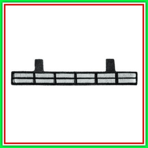 Grille sur pare chocs avant - grille,