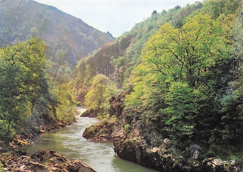 Sauveterre bearn canoe - 64,