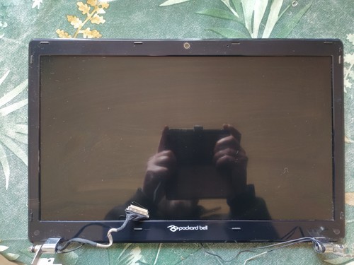 écran complet lcd - Écran, 15,6"