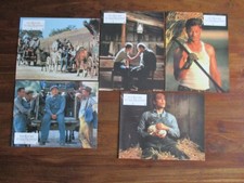 Jeu photos Des souris et des