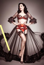 photo 10x15cm 4x6 inch DITA