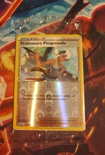 Professeur Pimprenelle