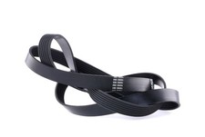 DAYCO Courroie Poly-V Courroie