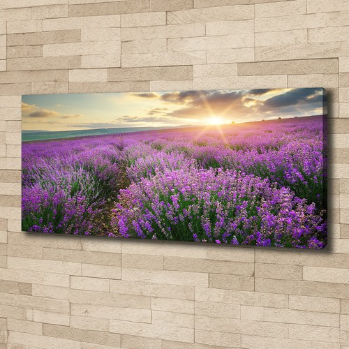 Tulup image sur toile - toile, tableau