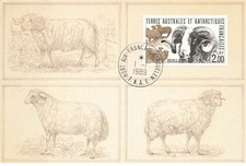 Carte maximum fdc - carte,