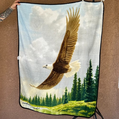 Vtg james hautman soaring - vtg,