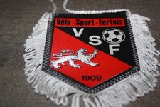  Petit Fanion ** VELO SPORTS FERTOIS ** FRANCE