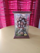 bouquet de fleurs séchées sous verre 22*13*10 cm