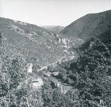 LARVIN DE ST VÉRAN c. 1960 -