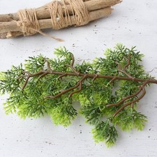 Simulation Plantes Bonsaï Pin