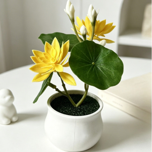 Plante nénuphar - plante, de