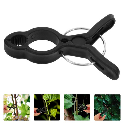Pcs tuteurs tomates avec - tuteurs, À