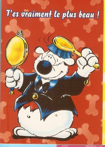 Dupa carte postale - dupa,