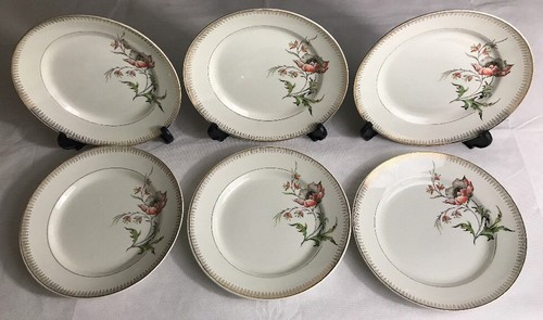 Lot1 assiettes plates - assiettes,