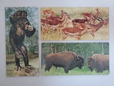 3 Cartes Merveilles du Monde - NESTLE - N° 5-6-8