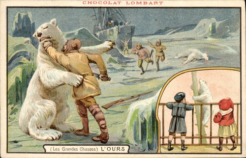 Ours les grandes - l'ours, (les