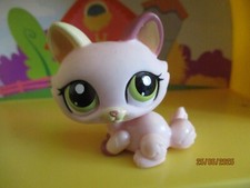 Petshop chat sphynx #1489