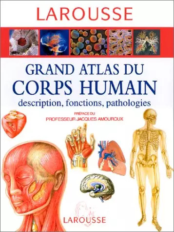 Grand atlas corps humain - grand, du