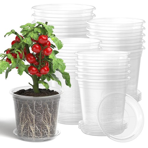 Lot pots transparents - de,