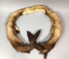 Belle ÉTOLE Ancienne RENARD