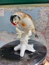 Karl Ens Oiseau Chardonneret  Porcelaine de Saxe