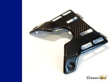 BMW HP2 Megamoto Carbone