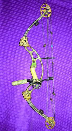 Hoyt xt2000 supertec bow - hoyt,