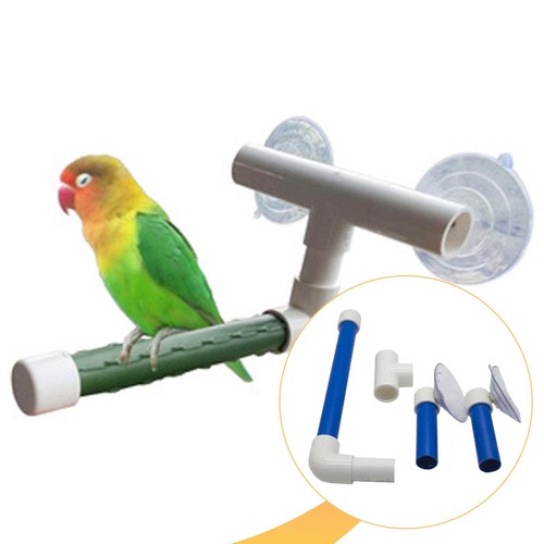 Perchoir bain pour - de,