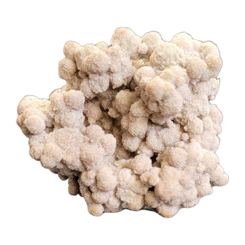 Gogotte calcite sableuse