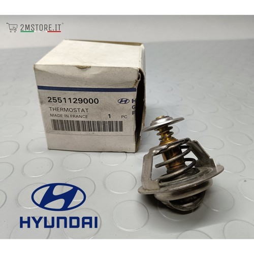 Thermostat vanne genuine - vanne,