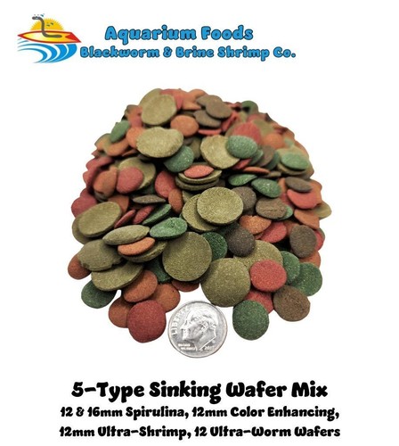 Sinking wafers bottom feeder - wafers,
