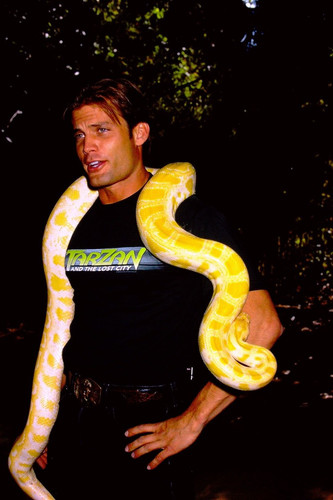 Casper van dien - van,