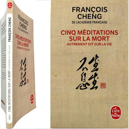 Cinq meditations sur mort - meditations,