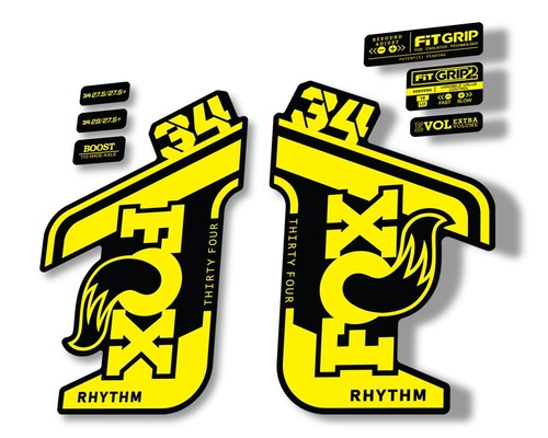 Fox rhythm 2021 - fox,