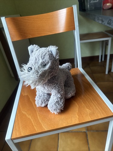 Doudou peluche chien gris - peluche,