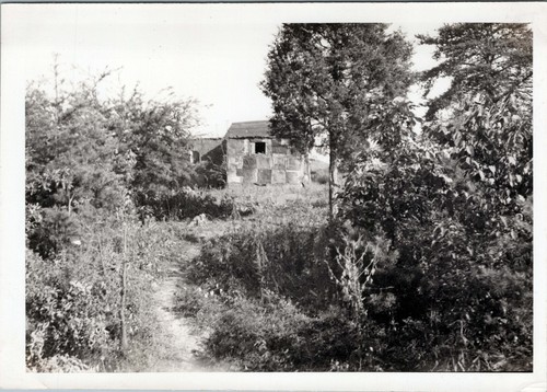 1940s photo rural - 1940s,, shack