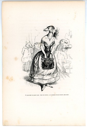 Animaux savants granville 1842 - animaux,