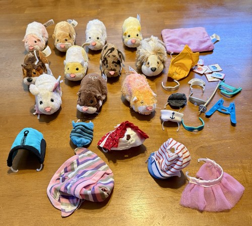 Big lot zhu hamster - zhu,