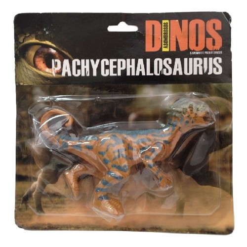 Pachycephalosaurus cms - 20,