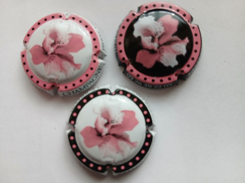 Capsules champagne pierre - ,