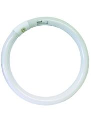 Reer Néon Fluorescent