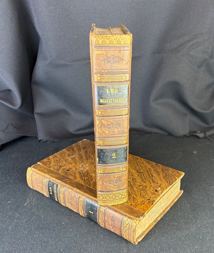 Livre les mille - livre, nuits"